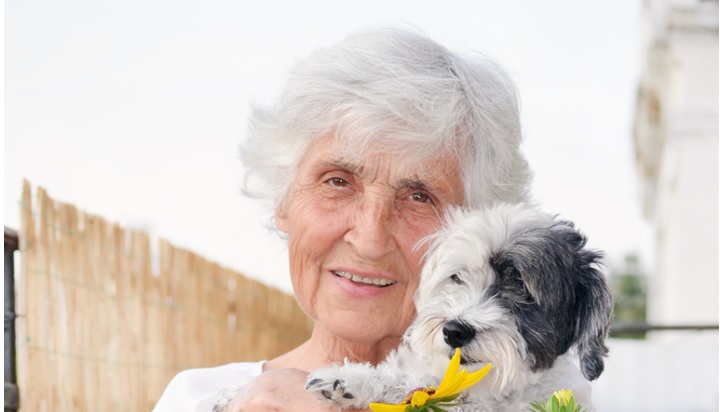 Work For Seniors | Dog Minders Needed | Don't Fret Pet