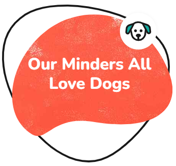 dog boarding service with minders who are dog lovers